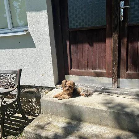 Příjemná Chaloupka Na Třeboňsku Casa vacanze Chlum u Trebone